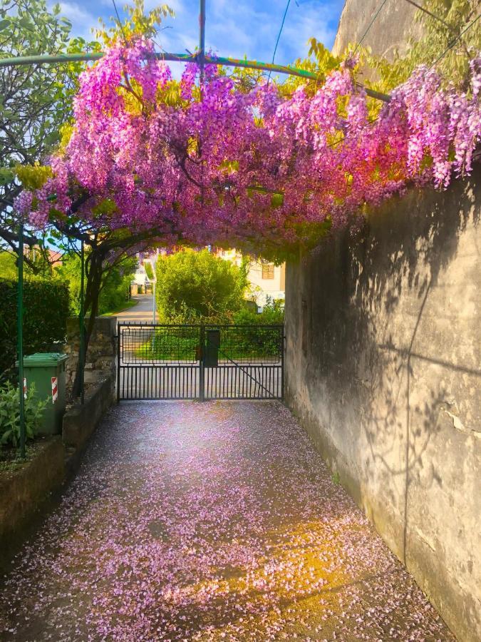 App Milija Appartement Rovinj Buitenkant foto