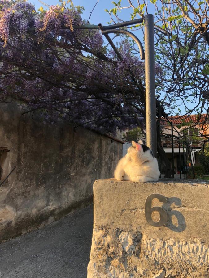 App Milija Appartement Rovinj Buitenkant foto